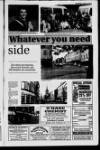 Londonderry Sentinel Thursday 19 August 1993 Page 17