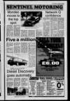 Londonderry Sentinel Thursday 14 October 1993 Page 29