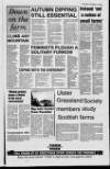 Londonderry Sentinel Thursday 18 November 1993 Page 29