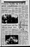 Londonderry Sentinel Thursday 13 January 1994 Page 43
