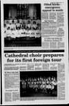 Londonderry Sentinel Thursday 20 January 1994 Page 19