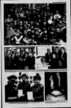 Londonderry Sentinel Thursday 10 February 1994 Page 17