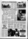 Londonderry Sentinel Thursday 22 September 1994 Page 31