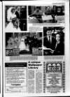 Londonderry Sentinel Thursday 13 October 1994 Page 17