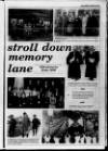 Londonderry Sentinel Thursday 13 October 1994 Page 33