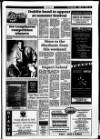 Londonderry Sentinel Thursday 22 June 1995 Page 23