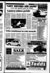 Londonderry Sentinel Thursday 02 November 1995 Page 31