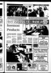 Londonderry Sentinel Thursday 09 November 1995 Page 15