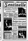Londonderry Sentinel Thursday 23 November 1995 Page 31