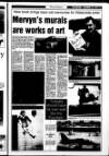 Londonderry Sentinel Thursday 14 December 1995 Page 17