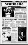 Londonderry Sentinel Wednesday 31 January 1996 Page 29