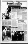 Londonderry Sentinel Wednesday 20 March 1996 Page 41