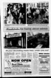 Londonderry Sentinel Wednesday 11 December 1996 Page 13