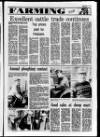 Larne Times Thursday 19 February 1987 Page 19