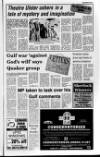 Larne Times Thursday 31 January 1991 Page 17