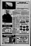 Larne Times Thursday 29 July 1993 Page 11