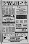 Larne Times Thursday 02 September 1993 Page 19