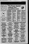Larne Times Thursday 04 November 1993 Page 27