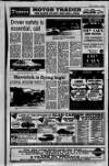 Larne Times Thursday 04 November 1993 Page 33