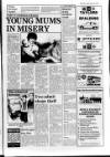 Lincolnshire Standard and Boston Guardian Thursday 22 January 1987 Page 3