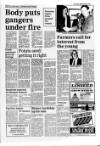 Lincolnshire Standard and Boston Guardian Thursday 26 February 1987 Page 19