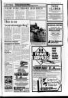 Lincolnshire Standard and Boston Guardian Thursday 05 March 1987 Page 7
