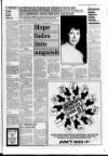 Lincolnshire Standard and Boston Guardian Thursday 10 September 1987 Page 3