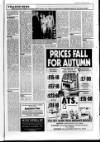 Lincolnshire Standard and Boston Guardian Thursday 01 October 1987 Page 31