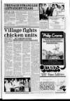 Lincolnshire Standard and Boston Guardian Thursday 08 October 1987 Page 3