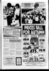 Lincolnshire Standard and Boston Guardian Thursday 12 November 1987 Page 15