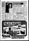 Lincolnshire Standard and Boston Guardian Thursday 19 November 1987 Page 17