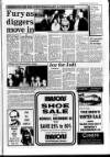 Lincolnshire Standard and Boston Guardian Thursday 24 December 1987 Page 3