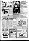 Lincolnshire Standard and Boston Guardian Thursday 31 December 1987 Page 3