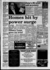 Lincolnshire Standard and Boston Guardian Thursday 26 January 1995 Page 3