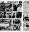 Ballymena Weekly Telegraph Thursday 20 June 1985 Page 22