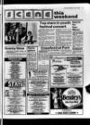 Ballymena Weekly Telegraph Wednesday 10 July 1985 Page 17