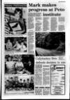 Ballymena Weekly Telegraph Wednesday 26 October 1988 Page 17