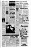 Ballymena Weekly Telegraph Wednesday 09 January 1991 Page 13