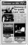 Ballymena Weekly Telegraph Wednesday 30 January 1991 Page 17