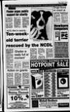 Ballymena Weekly Telegraph Wednesday 04 January 1995 Page 3