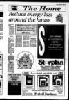 Ballymena Weekly Telegraph Wednesday 24 January 1996 Page 29