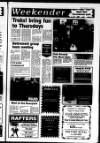 Ballymena Weekly Telegraph Wednesday 14 February 1996 Page 17