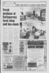 Ballymena Weekly Telegraph Monday 13 April 1998 Page 17