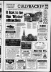 Ballymena Weekly Telegraph Wednesday 04 November 1998 Page 17