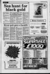 Littlehampton Gazette Friday 06 January 1989 Page 19