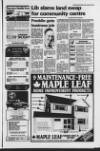 Worthing Herald Friday 20 January 1984 Page 19