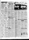 Melton Mowbray Times and Vale of Belvoir Gazette Friday 15 January 1988 Page 51