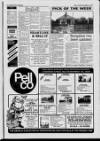 Melton Mowbray Times and Vale of Belvoir Gazette Thursday 12 December 1991 Page 37