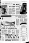 Lurgan Mail Thursday 01 December 1977 Page 17