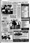 Lurgan Mail Thursday 12 June 1980 Page 15
